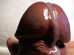 meilleur site video porno gratuit